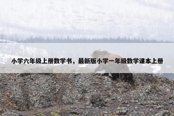 小学六年级上册数学书，最新版小学一年级数学课本上册