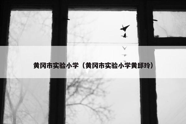 黄冈市实验小学（黄冈市实验小学黄邱玲）