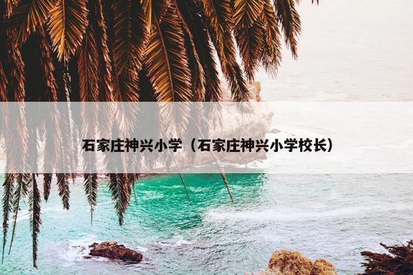 石家庄神兴小学（石家庄神兴小学校长）
