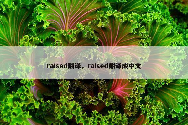 raised翻译，raised翻译成中文