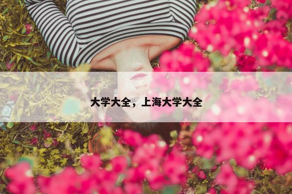 大学大全，上海大学大全