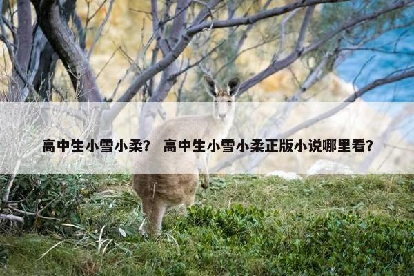 高中生小雪小柔？ 高中生小雪小柔正版小说哪里看？
