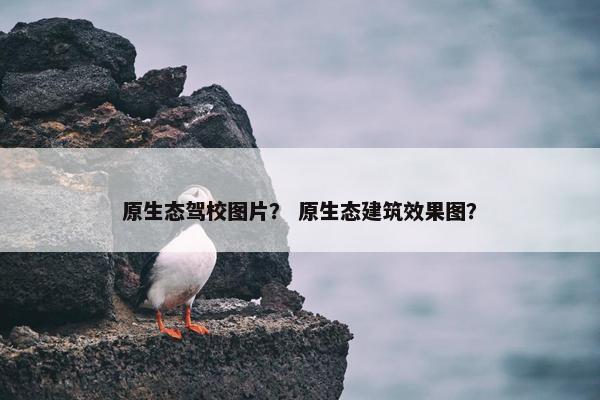 原生态驾校图片？ 原生态建筑效果图？