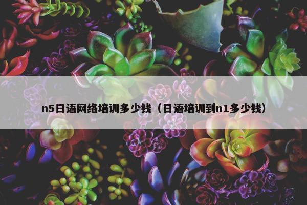 n5日语网络培训多少钱（日语培训到n1多少钱）