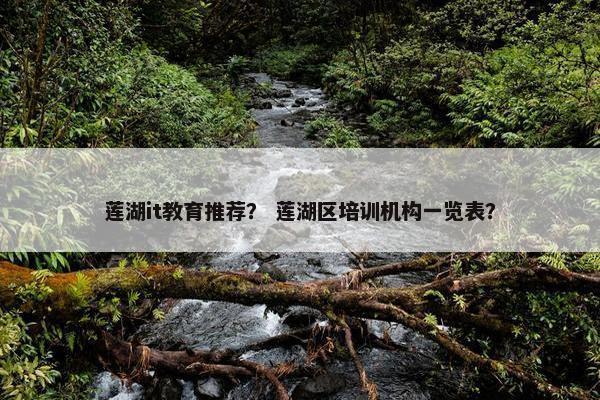 莲湖it教育推荐？ 莲湖区培训机构一览表？