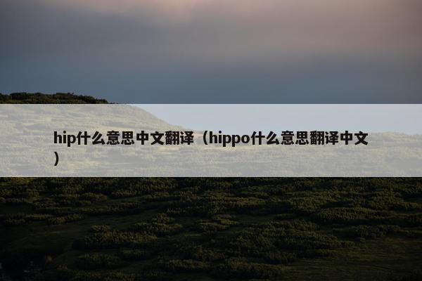 hip什么意思中文翻译（hippo什么意思翻译中文）