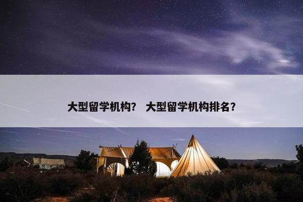 大型留学机构？ 大型留学机构排名？