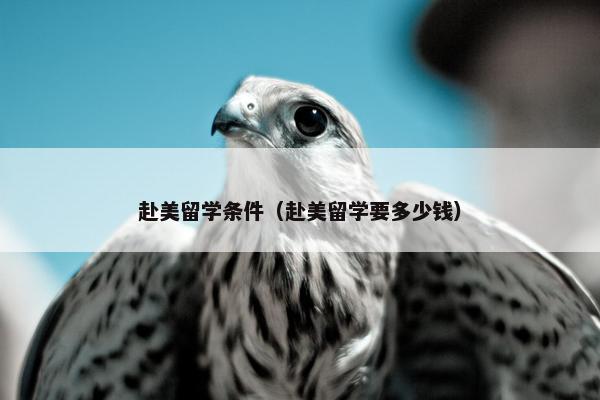 赴美留学条件（赴美留学要多少钱）