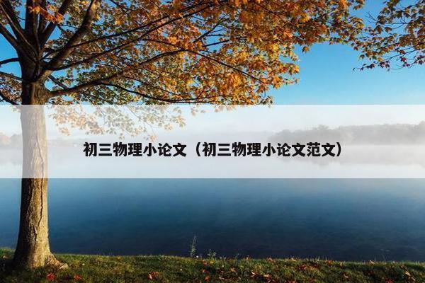 初三物理小论文（初三物理小论文范文）