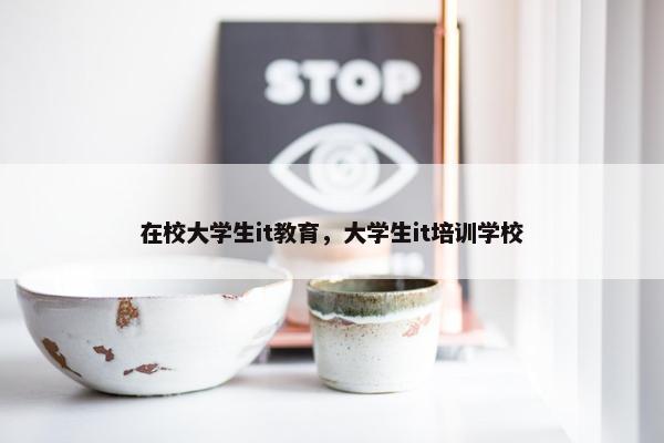 在校大学生it教育，大学生it培训学校