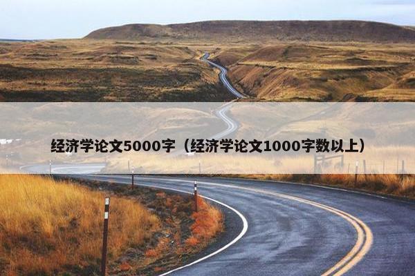 经济学论文5000字（经济学论文1000字数以上）
