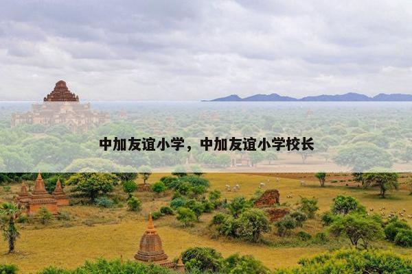 中加友谊小学，中加友谊小学校长