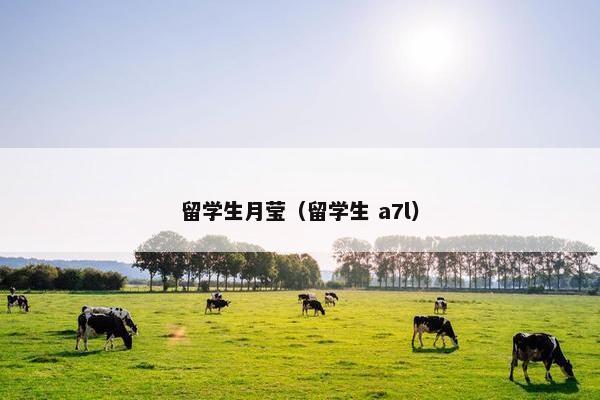 留学生月莹（留学生 a7l）