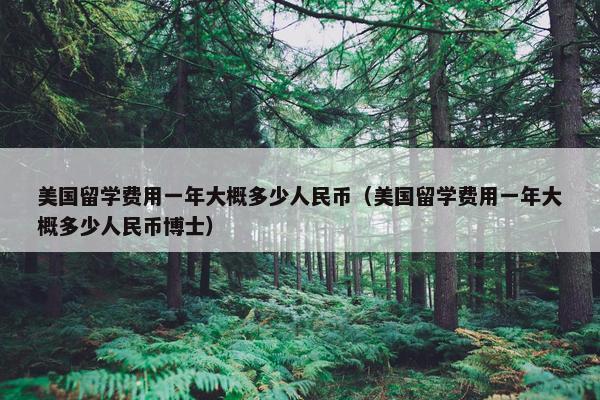 美国留学费用一年大概多少人民币（美国留学费用一年大概多少人民币博士）