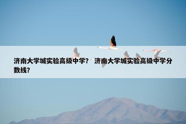 济南大学城实验高级中学？ 济南大学城实验高级中学分数线？