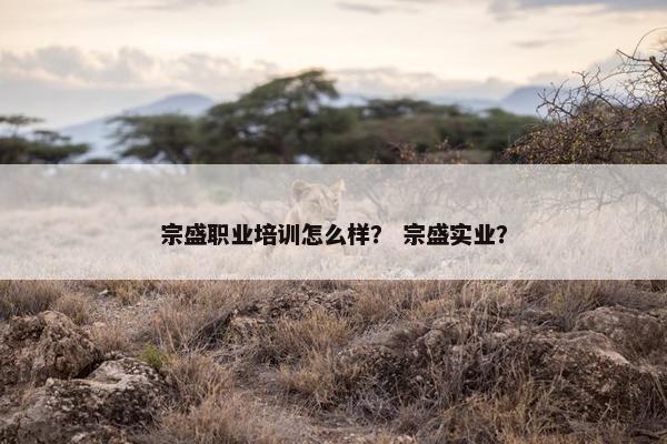 宗盛职业培训怎么样？ 宗盛实业？