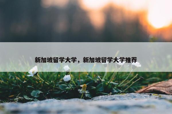 新加坡留学大学，新加坡留学大学推荐