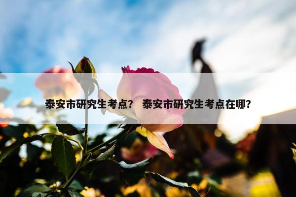 泰安市研究生考点？ 泰安市研究生考点在哪？