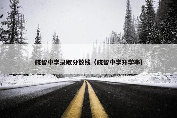 皖智中学录取分数线（皖智中学升学率）