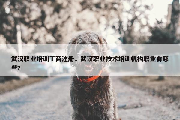 武汉职业培训工商注册，武汉职业技术培训机构职业有哪些?
