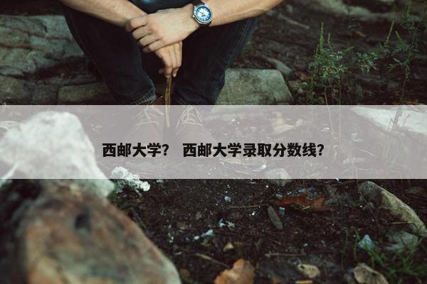 西邮大学？ 西邮大学录取分数线？