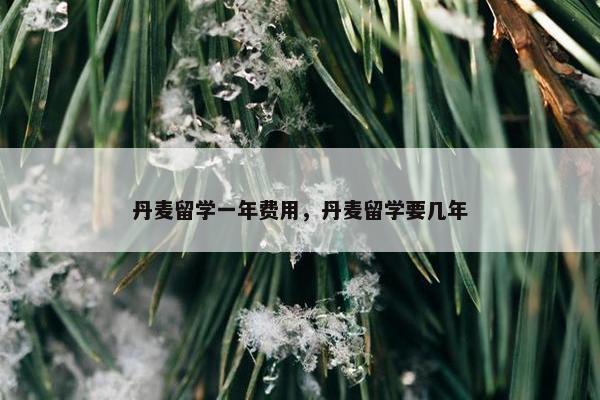 丹麦留学一年费用，丹麦留学要几年