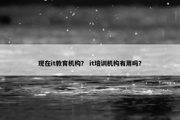 现在it教育机构？ it培训机构有用吗？