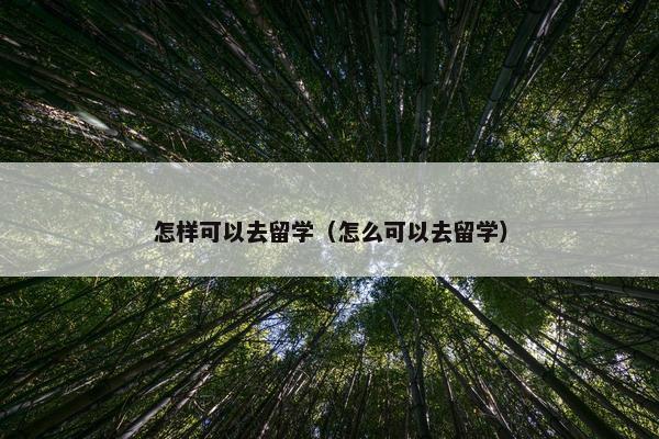 怎样可以去留学（怎么可以去留学）