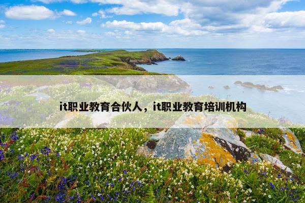 it职业教育合伙人，it职业教育培训机构