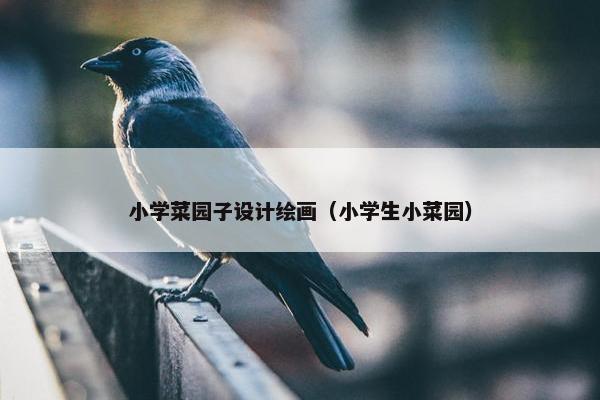 小学菜园子设计绘画（小学生小菜园）