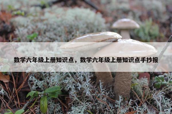 数学六年级上册知识点，数学六年级上册知识点手抄报