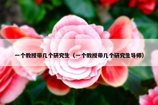 一个教授带几个研究生（一个教授带几个研究生导师）