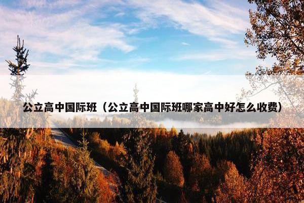 公立高中国际班（公立高中国际班哪家高中好怎么收费）