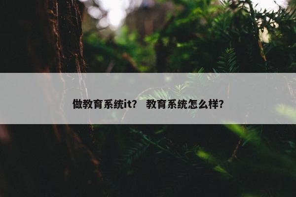 做教育系统it？ 教育系统怎么样？