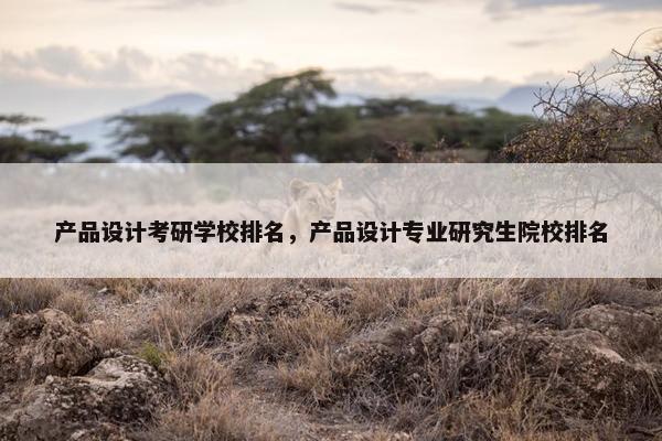产品设计考研学校排名，产品设计专业研究生院校排名