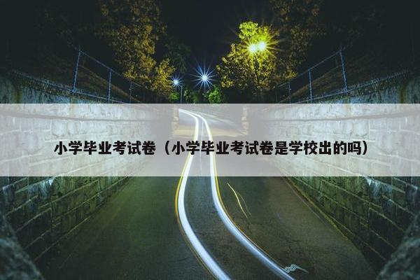 小学毕业考试卷（小学毕业考试卷是学校出的吗）