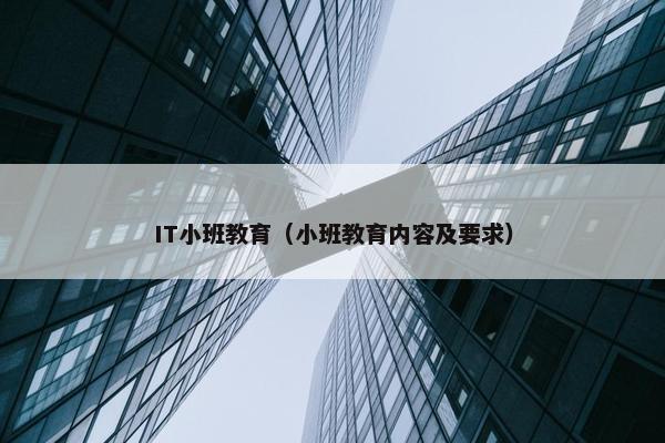 IT小班教育（小班教育内容及要求）