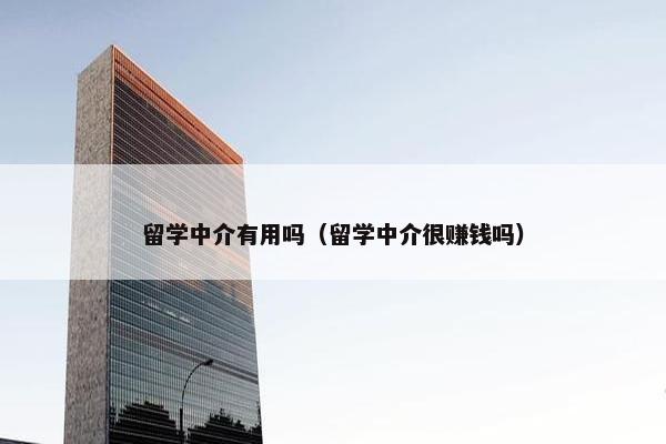 留学中介有用吗（留学中介很赚钱吗）