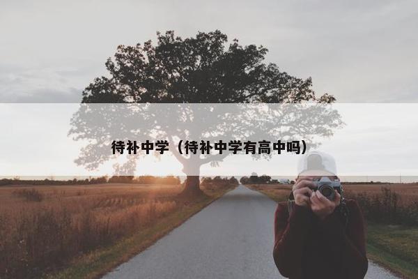 待补中学（待补中学有高中吗）