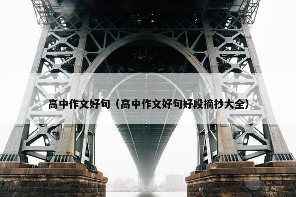 高中作文好句（高中作文好句好段摘抄大全）