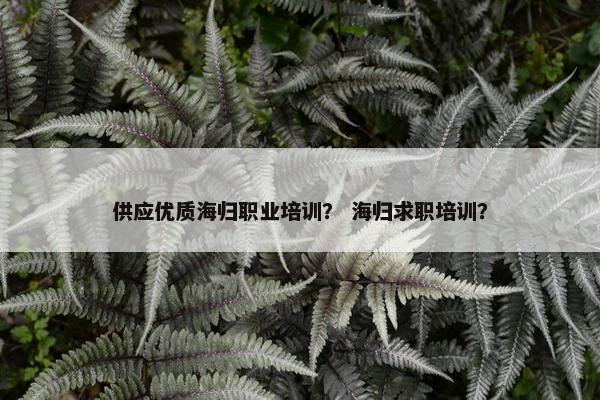 供应优质海归职业培训？ 海归求职培训？
