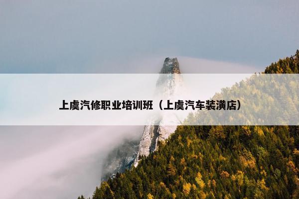 上虞汽修职业培训班（上虞汽车装潢店）