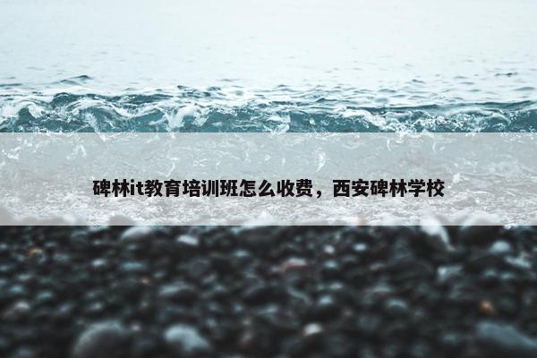 碑林it教育培训班怎么收费，西安碑林学校