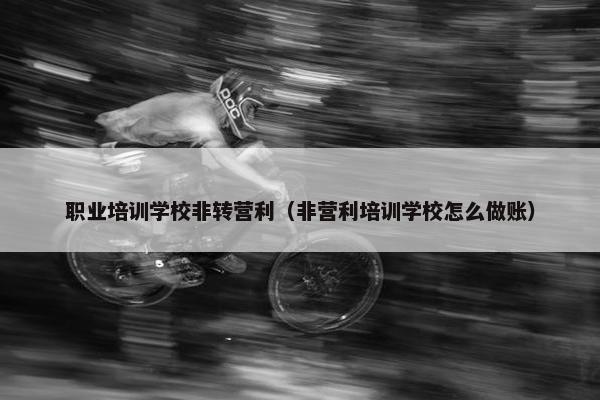职业培训学校非转营利（非营利培训学校怎么做账）