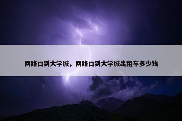 两路口到大学城，两路口到大学城出租车多少钱
