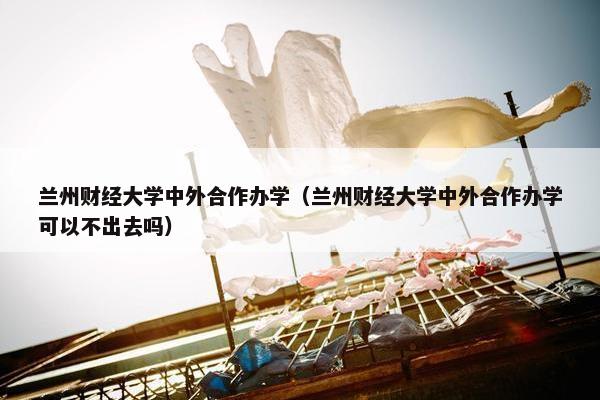 兰州财经大学中外合作办学（兰州财经大学中外合作办学可以不出去吗）