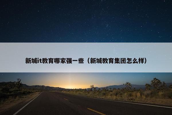 新城it教育哪家强一些（新城教育集团怎么样）