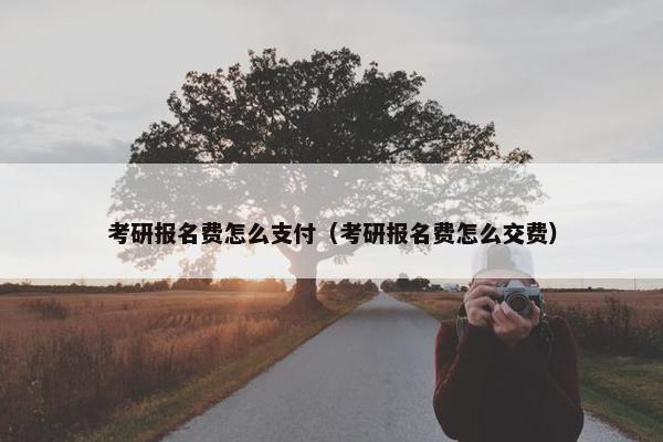 考研报名费怎么支付（考研报名费怎么交费）