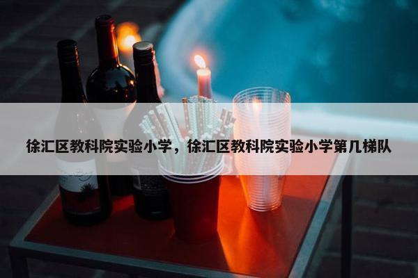徐汇区教科院实验小学，徐汇区教科院实验小学第几梯队