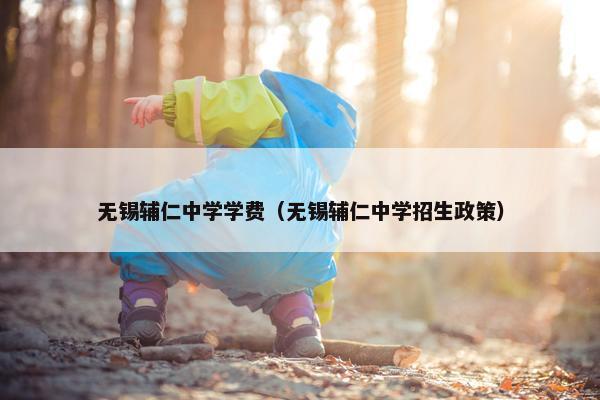 无锡辅仁中学学费（无锡辅仁中学招生政策）